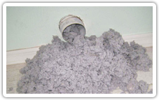 Dryer Lint Removing